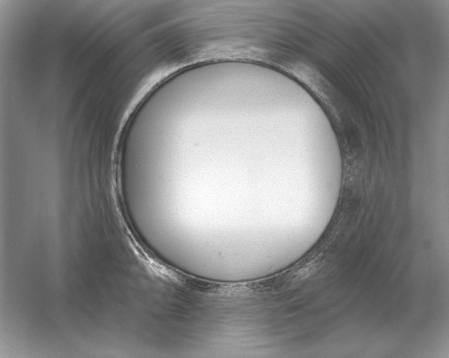 X0000056011094200509092105