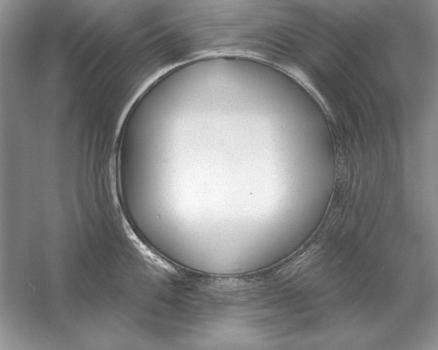 X0000056011100200509092105