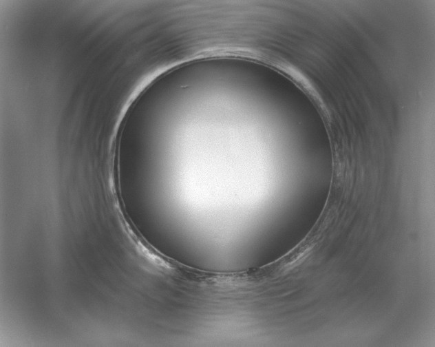 X0000056011102200509092105