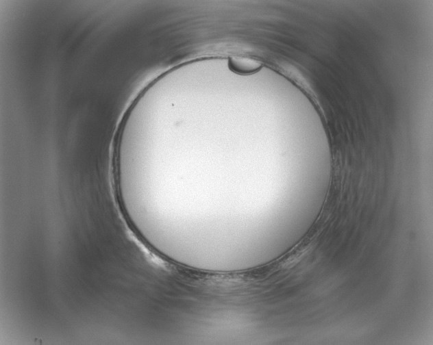X0000056011103200509092105