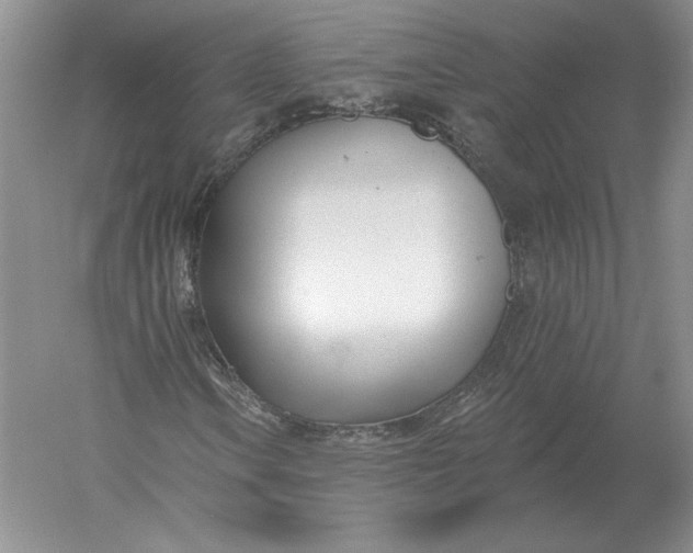 X0000056011106200509092104