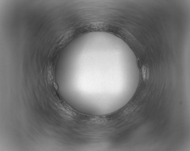 X0000056011107200509092104