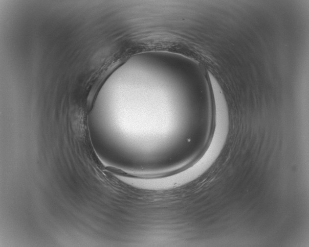 X0000056011108200509092104