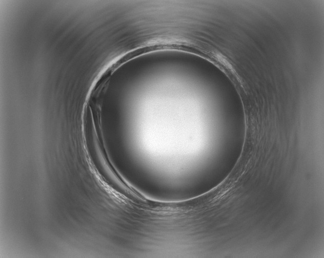 X0000056011124200509092105