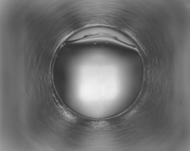 X0000056011129200509092105