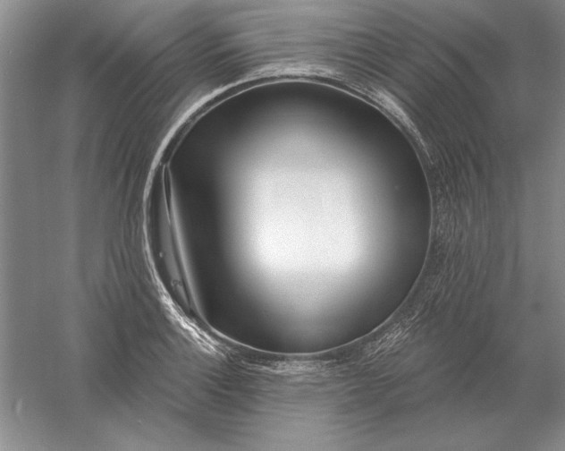 X0000056011132200509092105
