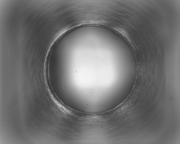 X0000056011135200509092105