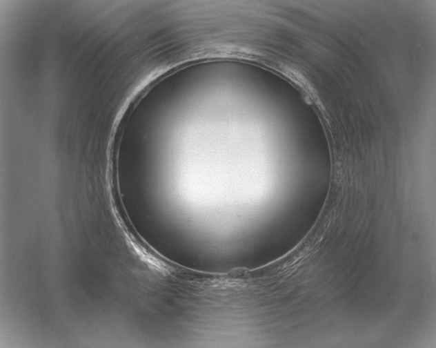 X0000056011136200509092105