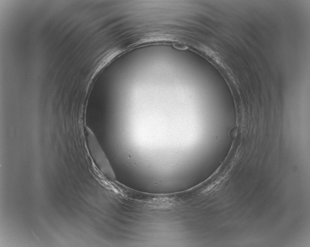 X0000056011137200509092105