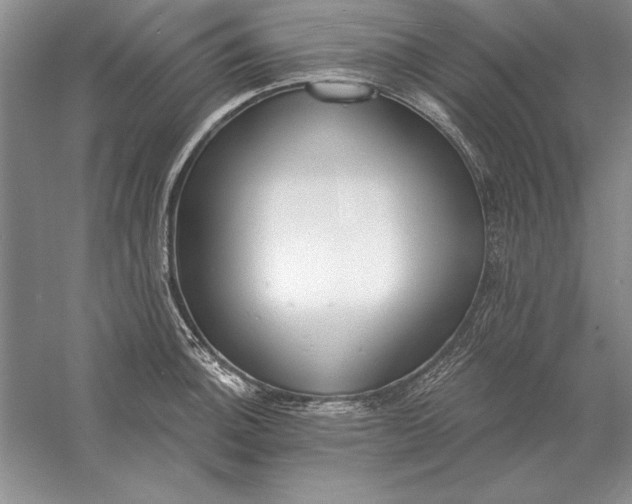 X0000056011140200509092105