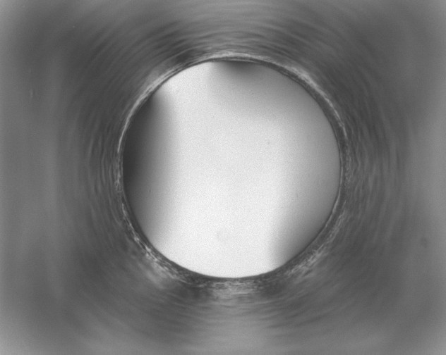 X0000056011145200509092105