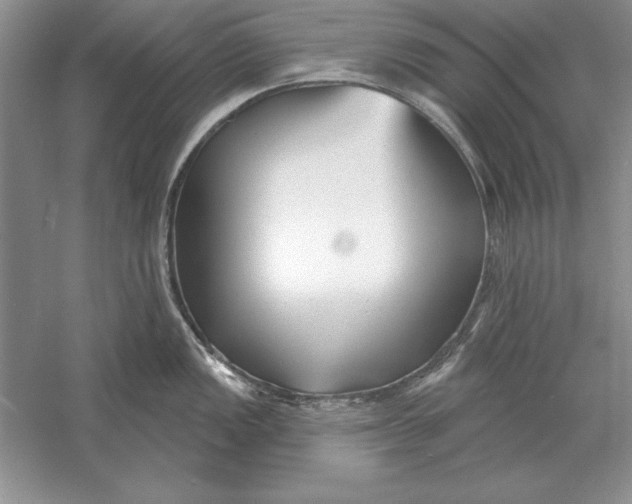 X0000056011149200509092105