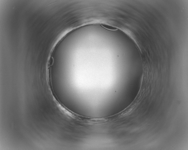 X0000056011151200509092105
