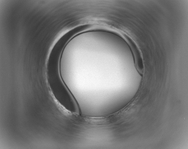 X0000056011152200509092105
