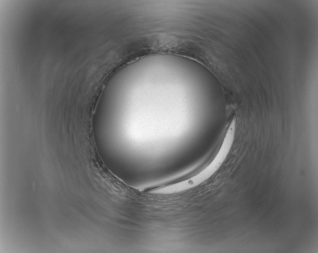 X0000056011153200509092104