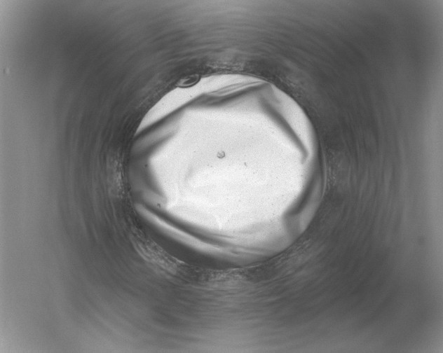 X0000056011154200509092104