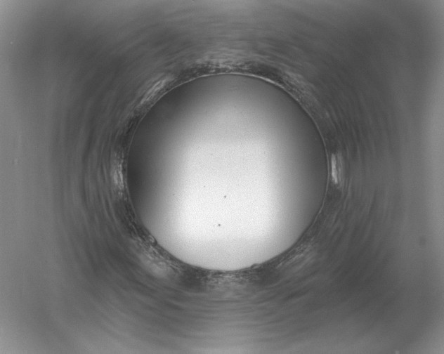 X0000056011155200509092104