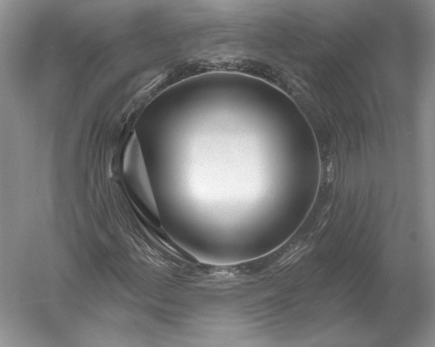 X0000056011156200509092104