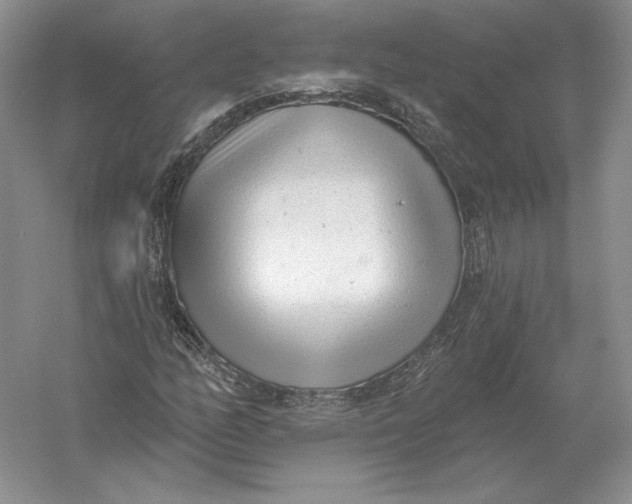 X0000056011158200509092104