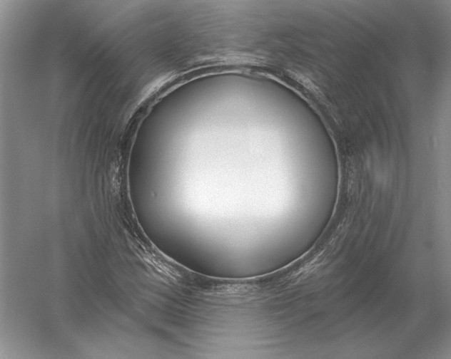 X0000056011163200509092104