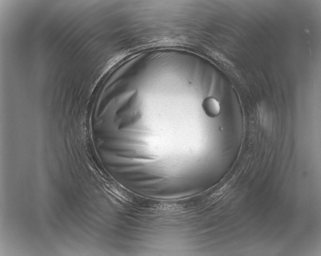 X0000056011170200509092104