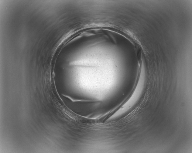 X0000056011173200509092104