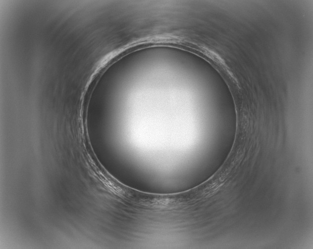 X0000056011176200509092104