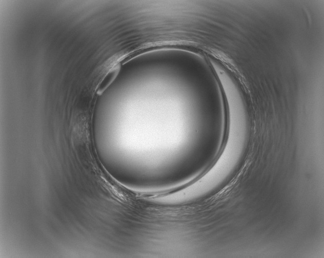 X0000056011177200509092104