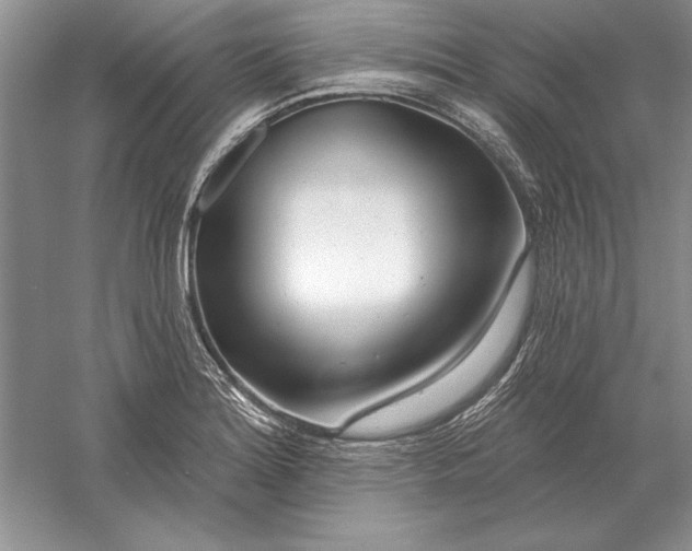 X0000056011180200509092104