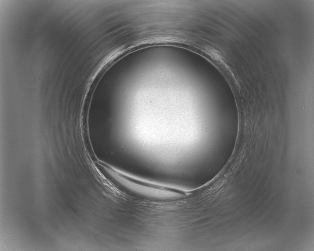 X0000056011181200509092104