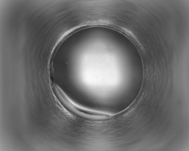 X0000056011184200509092104