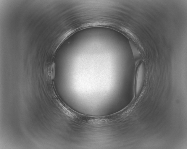 X0000056011185200509092104