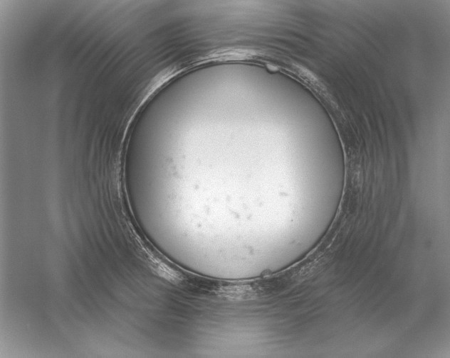 X0000056011186200509092104