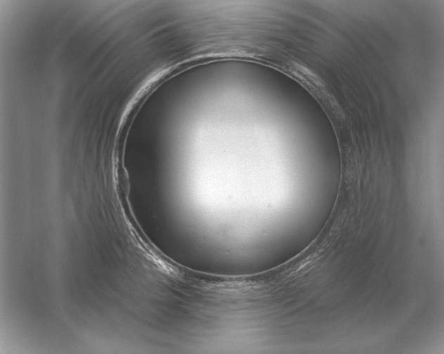 X0000056011188200509092104