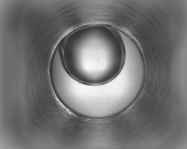 X0000056011189200509092104