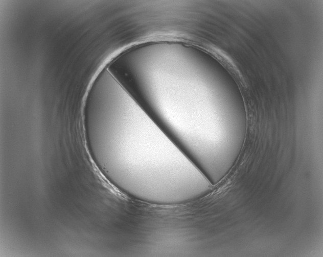 X0000056011192200509092104