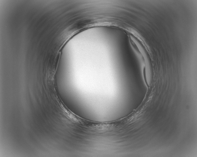 X0000056011193200509092104