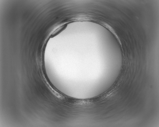 X0000056011195200509092104