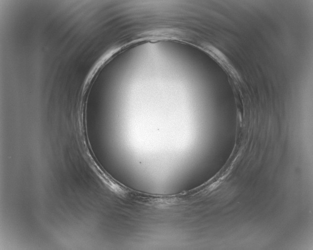 X0000056011196200509092104