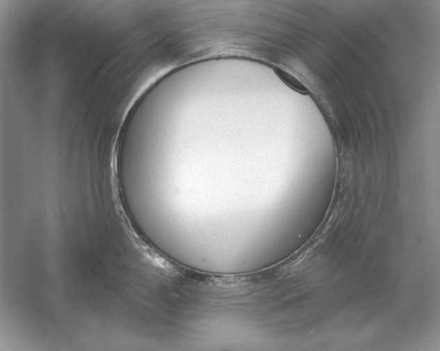X0000056011198200509092104