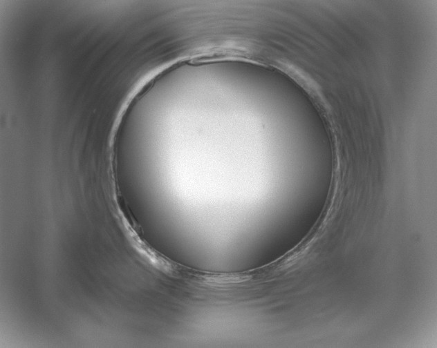 X0000056011200200509092104