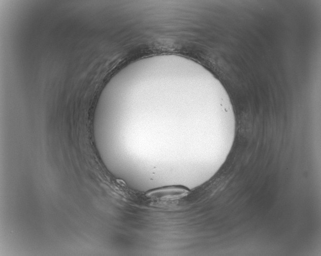 X0000056011201200509092103