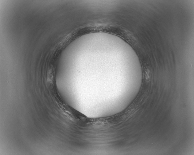 X0000056011204200509092103