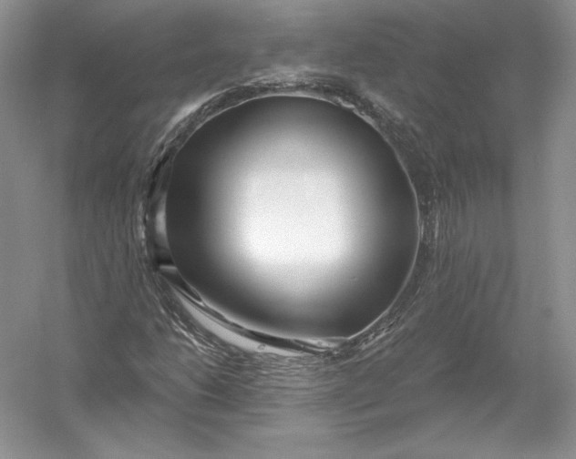 X0000056011206200509092103