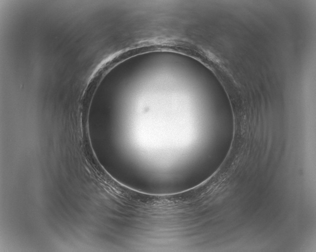 X0000056011214200509092103