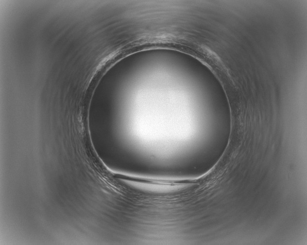 X0000056011218200509092103