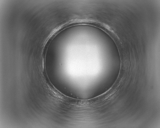 X0000056011221200509092103