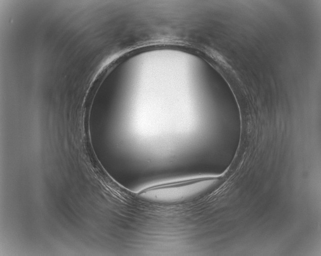X0000056011222200509092103