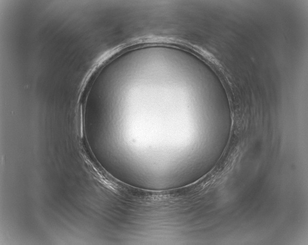 X0000056011223200509092103