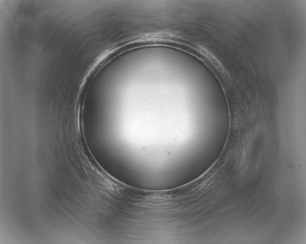 X0000056011224200509092103